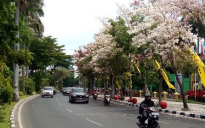 Jalanan di Kota Surabaya (merdeka.com)