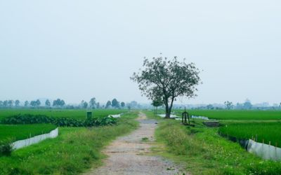 Lahan kosong.
