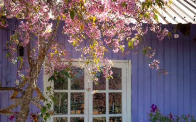 Warna lavender pada bagian luar rumah.