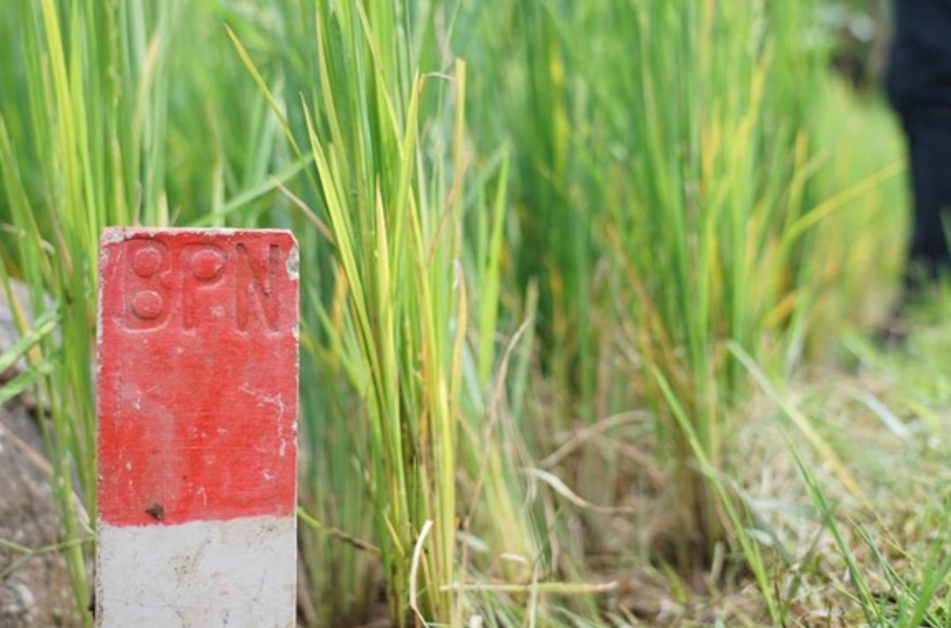 Patok Tanah Wajib Dipasang Pemilik Lahan