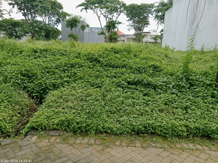 Dijual Kavling Murah Bukit Golf International Citraland Surabaya Barat - Image 1