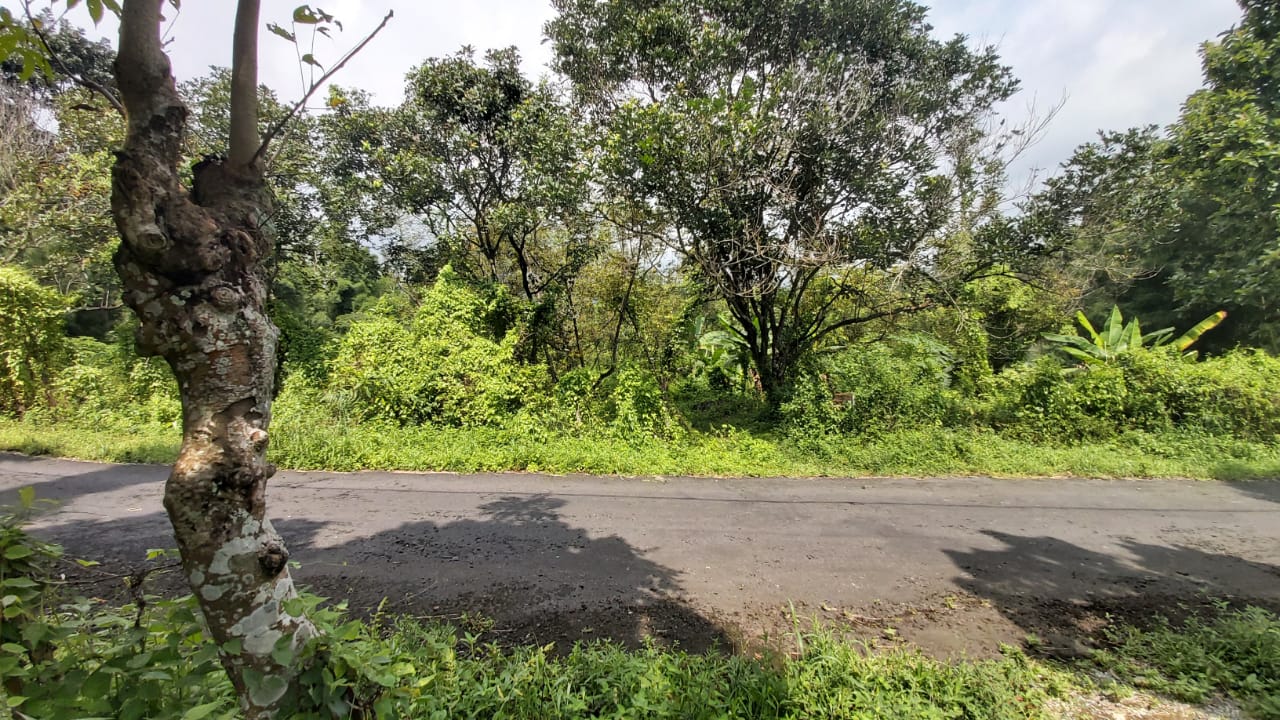 Dijual Tanah Bagus dengan Harga Murah di Ledug Tretes Pasuruan - Image 1