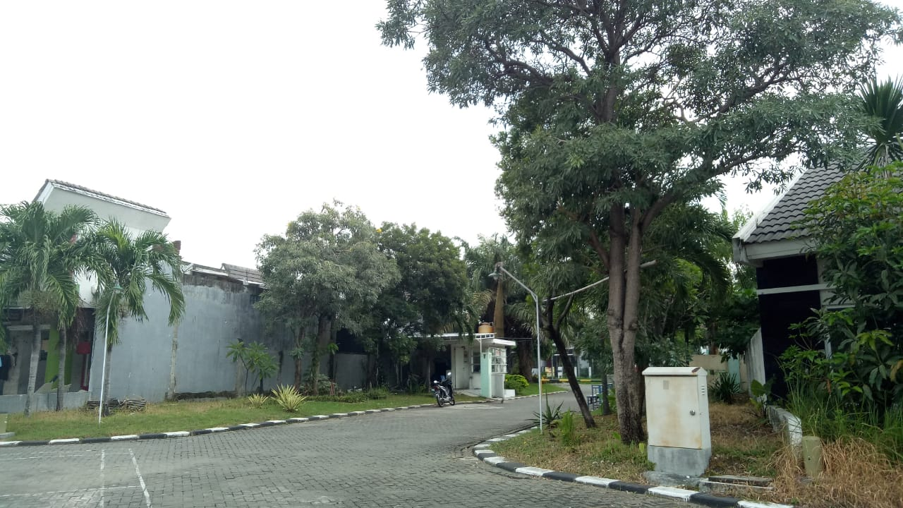 Dijual Lelang Rumah Minimalis Dekat Gelora Bung Tomo di The green Tamansari Surabaya - Thumbnail 4
