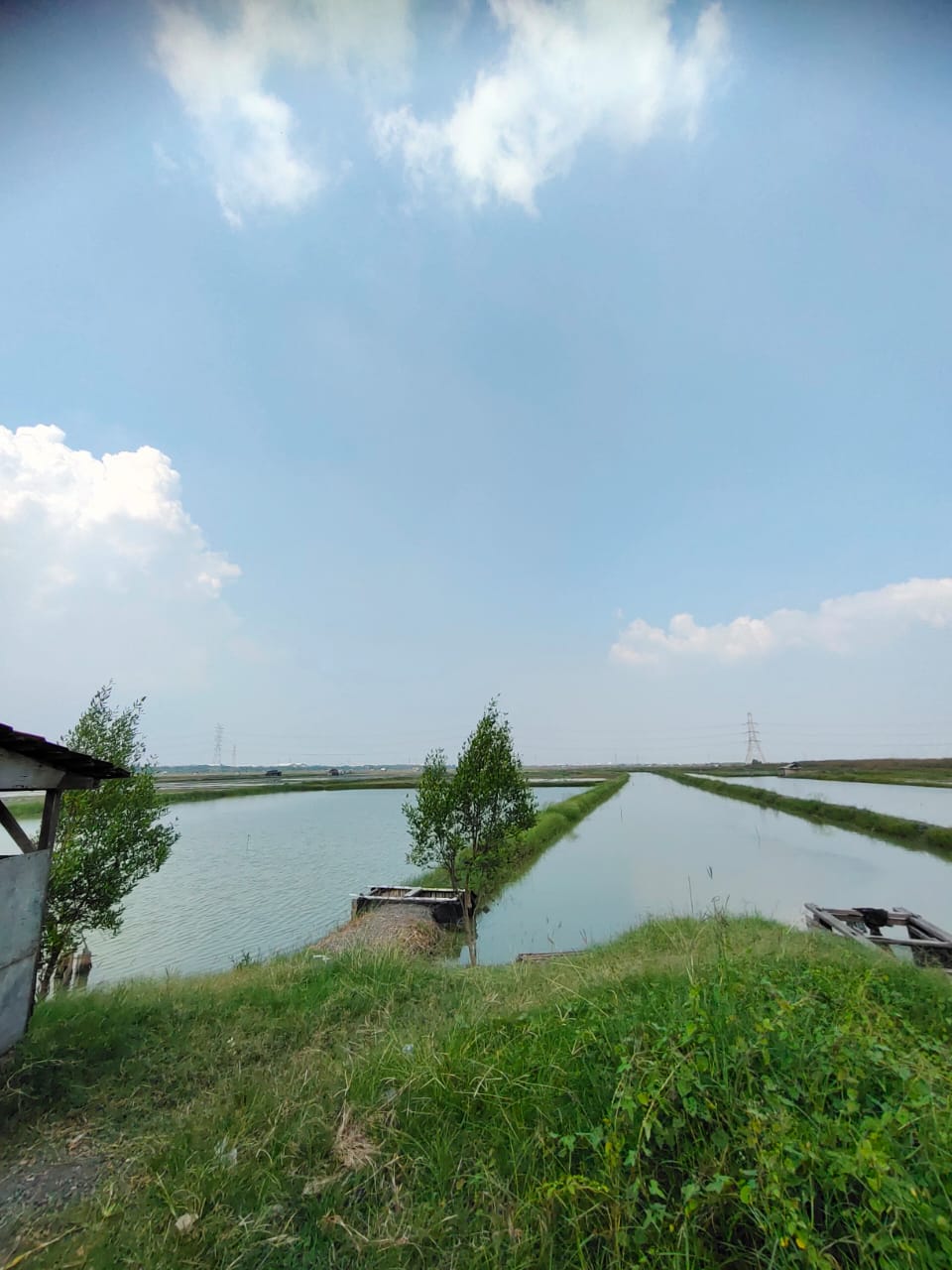 Dijual Tanah Tambak Super Luas di Nol jalan Raya Jawar Surabaya Barat - Image 1