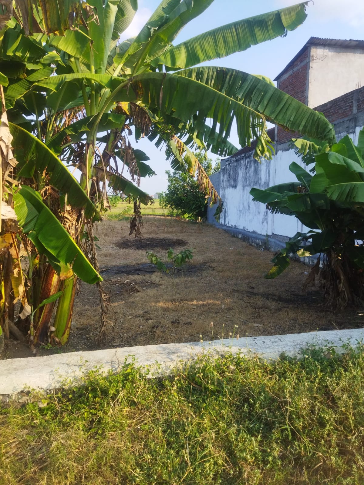 Dijual Tanah Komersial Pinggir Jalan Utama di Balongpanggang Gresik - Image 1