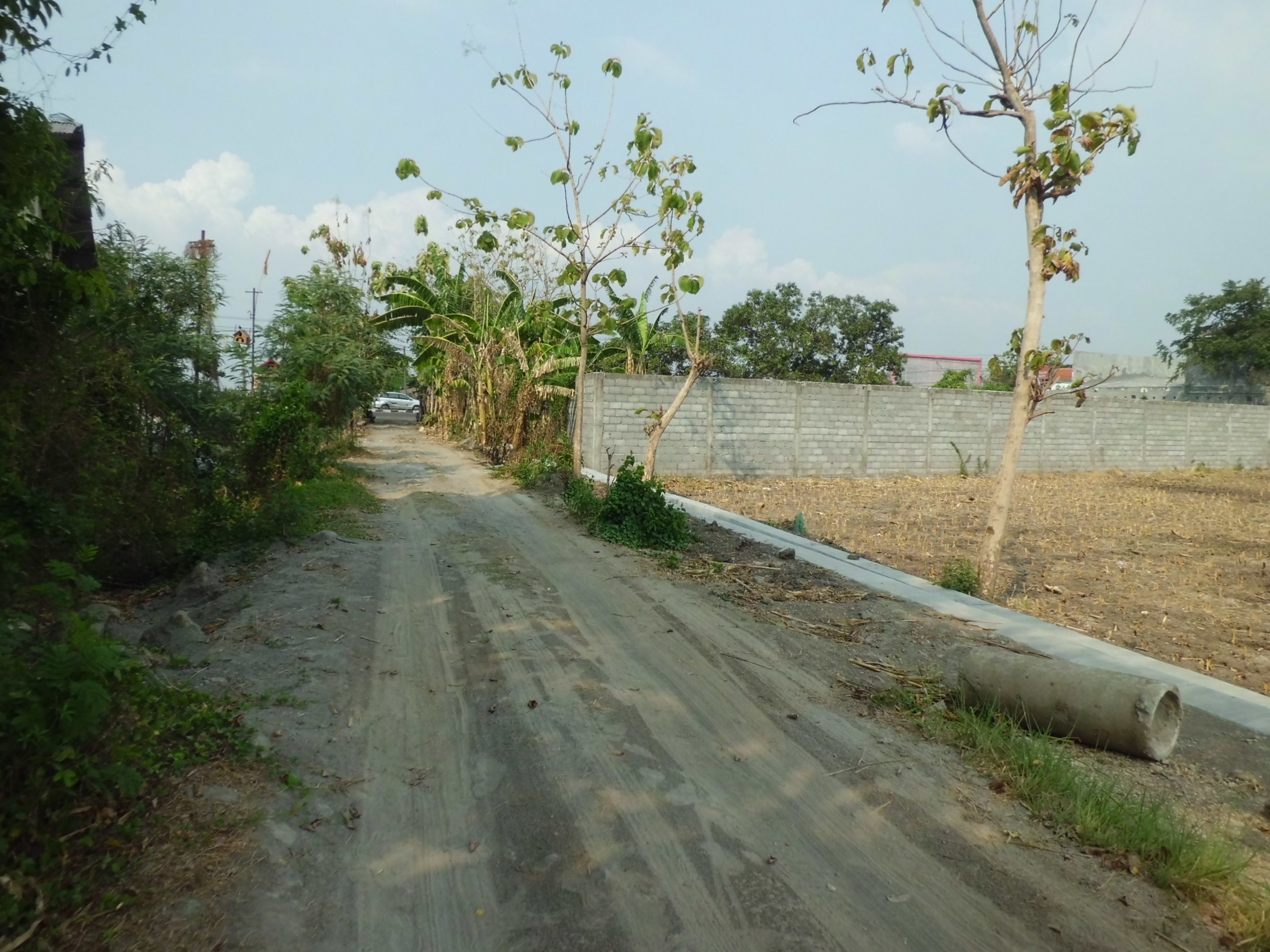 Dijual Lelang Tanah Sawah Luas Cocok Untuk Investasi di Jombang Lokasi Stategis - Thumbnail 2