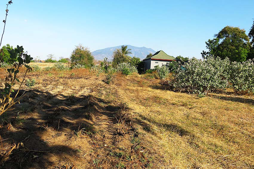 Dijual Lelang Ruko Lahan Luas Lokasi Dekat Ponpes di Situbondo - Thumbnail 3