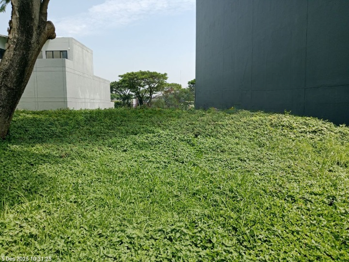 Disewakan Tanah Komersial Citraland Raya North Emerald Mansion Surabaya Barat - Image 1