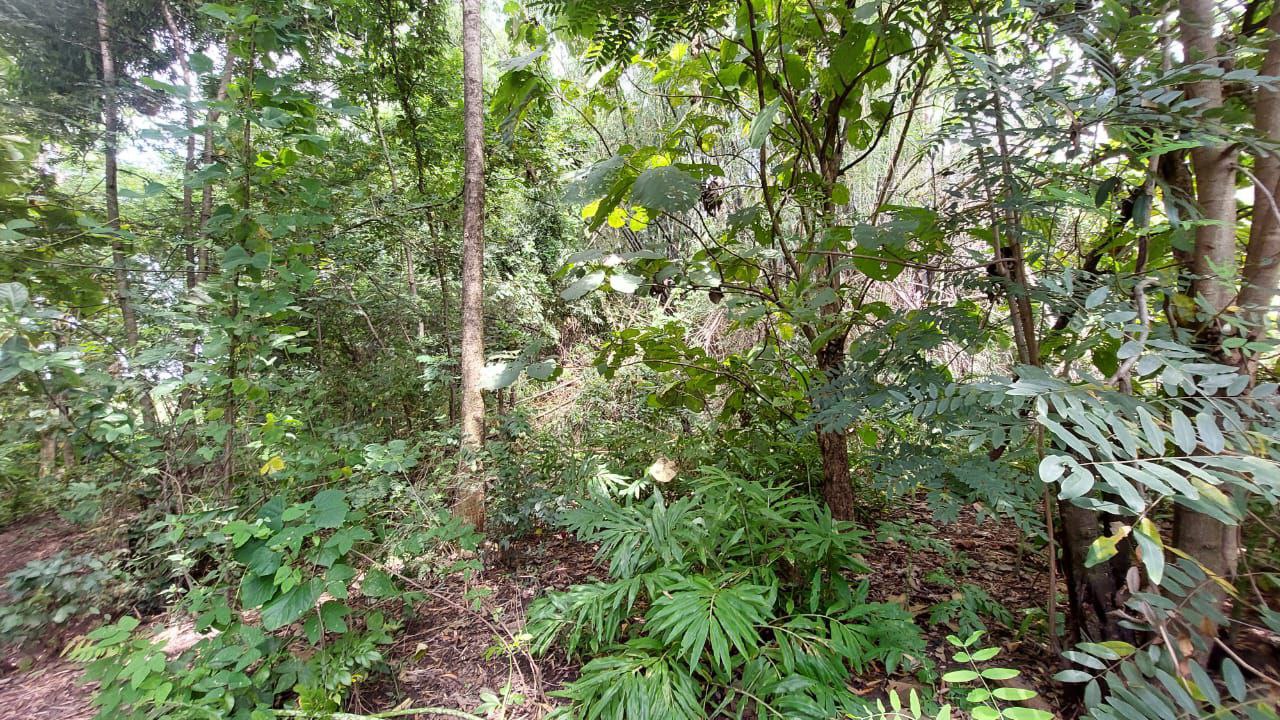 Dijual Tanah Pekarangan Lokasi Strategis di Dusun Bulu Randusongo Ngawi - Thumbnail 3