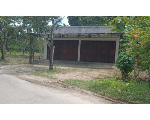 Dijual Lelang Ruko Komersial di Nol Jalan Raya Desa Rejuno Karangjati Ngawi - Image 1