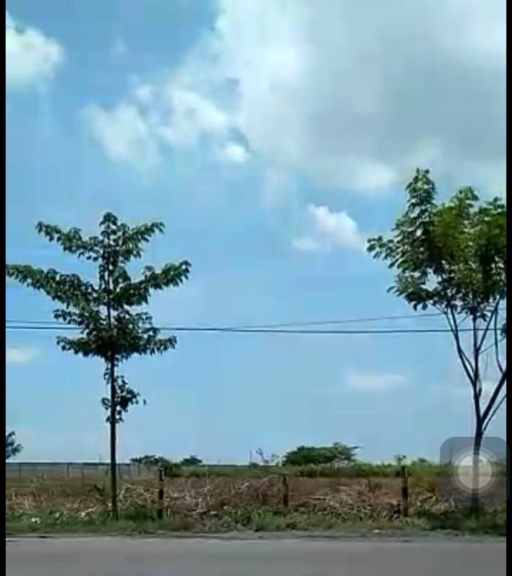 Dijual-Tanah-Kavling-Strategis-di-Merutuk-Utara-Tuban