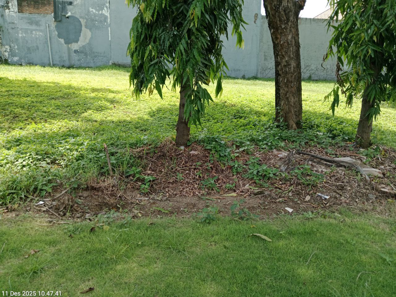 Dijual Tanah Kavling di Raya International Village Citraland Surabaya Barat - Image 1