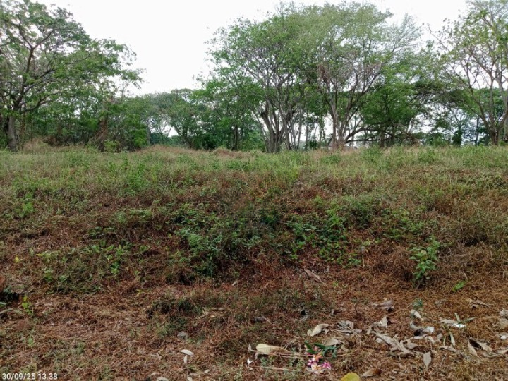 Dijual Tanah Kavling Strategis di Bukit Golf International Citraland Surabaya Barat - Image 1