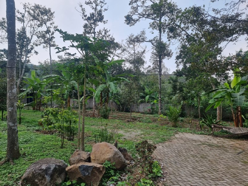 Dijual Tanah dan Bangunan Asri Lokasi Strategis di Kawasan Duyung Mojokerto - Thumbnail 2