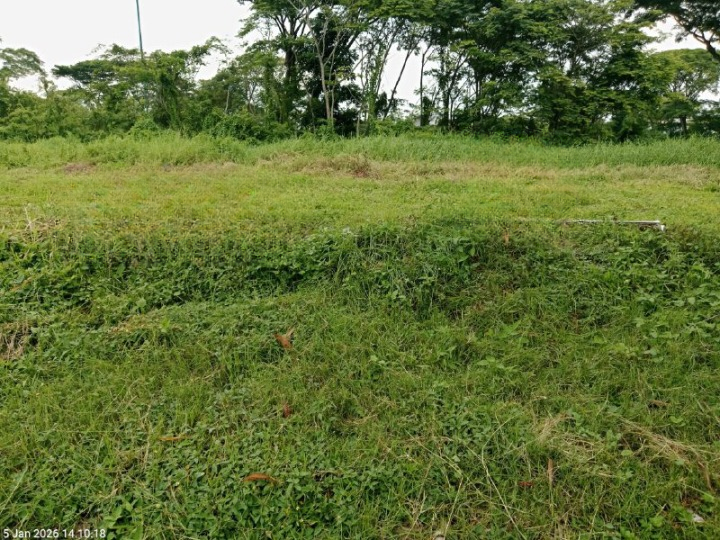 Dijual Tanah Kavling Golf di Bukit Golf Internasional Citraland Surabaya Barat - Image 1