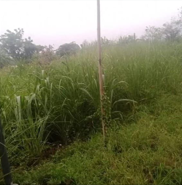 Dijual Tanah Lokasi Strategis di Wilayah Benjeng Gresik - Thumbnail 3