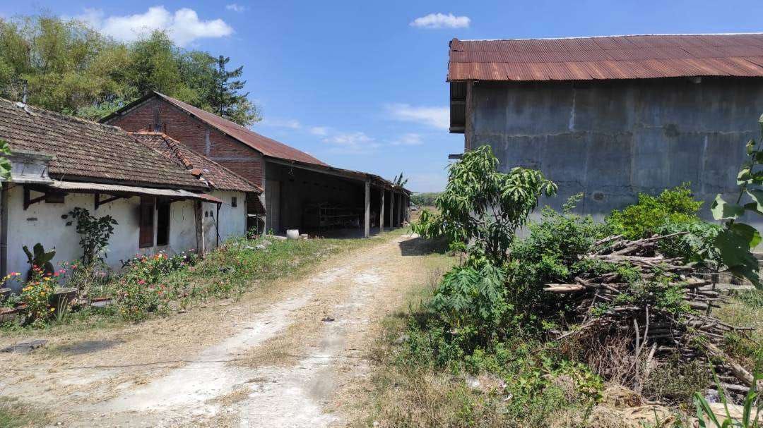 Dijual/Disewakan Gudang Luas di Wilayah Raya Soko Tuban - Image 1