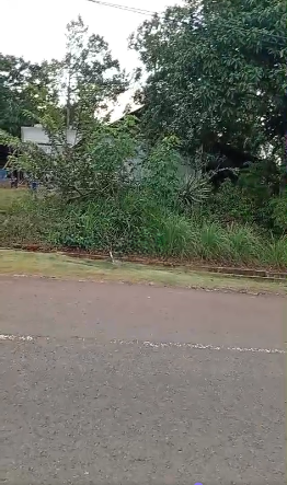 Dijual Tanah Kebun Luas di Giri Mukti Kabupaten Sukabumi - Image 1