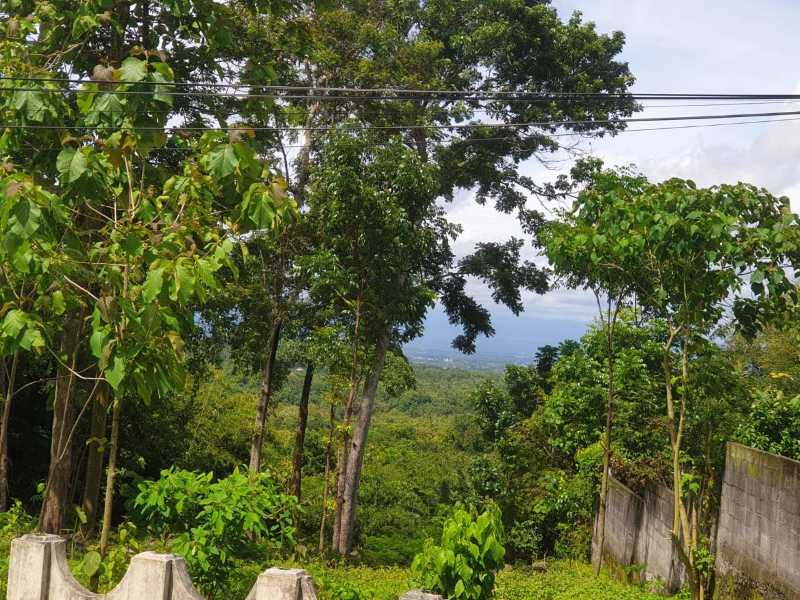 Dijual Tanah Luas dan Strategis di Wilayah Bangunjiwo Kabupaten Bantul - Thumbnail 11
