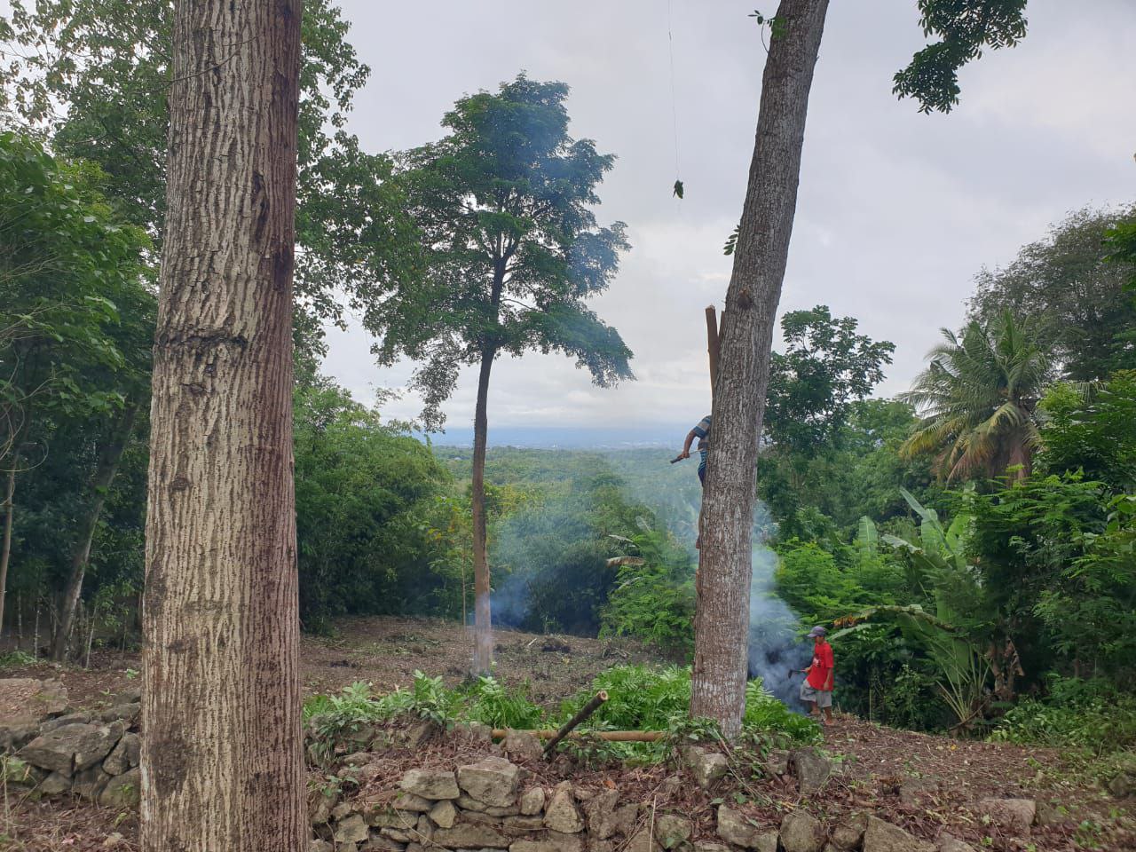 Dijual Tanah Luas dan Strategis di Wilayah Bangunjiwo Kabupaten Bantul - Thumbnail 3