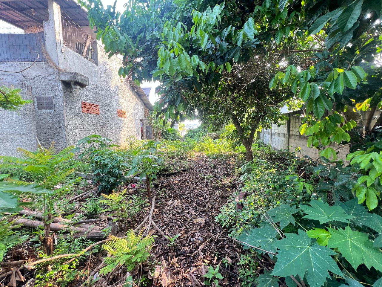 Dijual Tanah Komersial Strategis di Kawasan Jalan Suka Karya Tangerang Selatan - Thumbnail 3