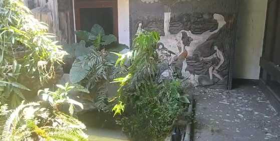 Dijual Rumah Semi Furnish di Jemursari Utara Surabaya Selatan - Thumbnail 4