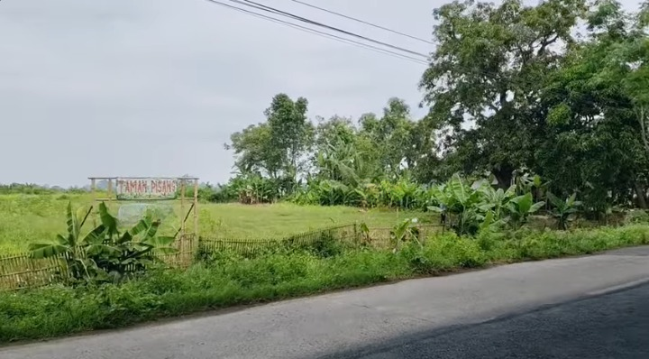 Dijual/Disewakan Tanah Perkebunan Luas di Desa Cikarang Kabupaten Karawang - Thumbnail 5