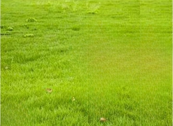 Dijual Tanah Strategis Lokasi Graha Natura Surabaya Barat - Image 1