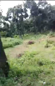 Dijual Tanah Luas di Desa Tlogo Sadang Paciran Lamongan - Thumbnail 2