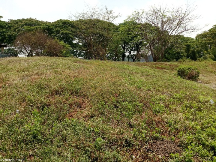 Jual Kavling Tanah Bukit Golf View Long Lapangan Golf Citraland Surabaya Barat - Image 1