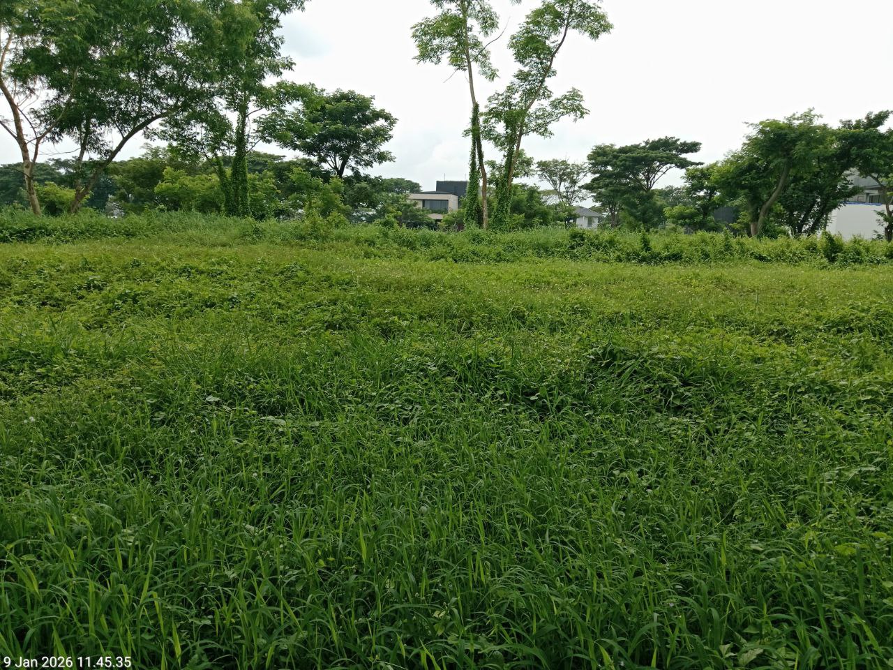 Jual Tanah Bukit Golf International Lokasi Premium Citraland Surabaya Barat - Image 1