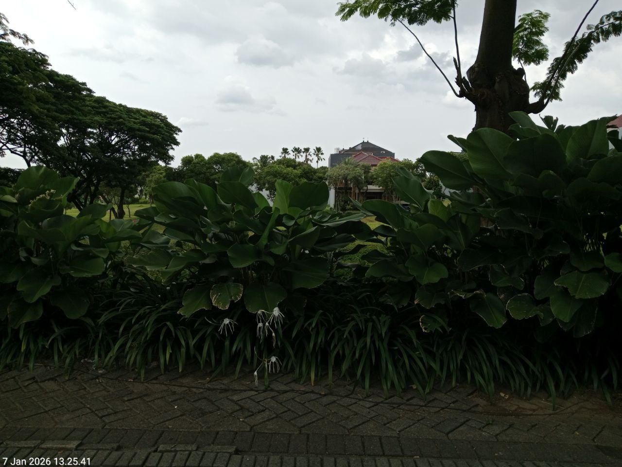 Dijual Kavling Raya Bukit Golf Premium di Citraland Surabaya Barat - Image 1