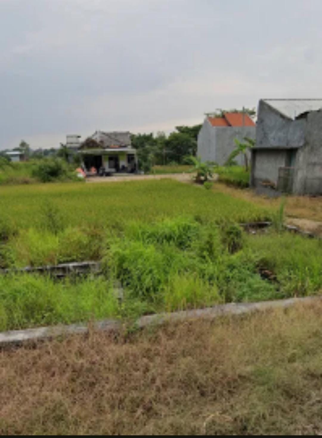 Jual Tanah Kavling Murah Menganti Krajan Gresik - Thumbnail 2