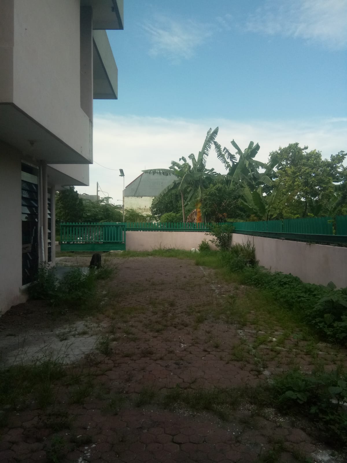 Jual / Sewa Rumah 2 Lantai Halaman Luas Gayungsari Surabaya Selatan - Thumbnail 5