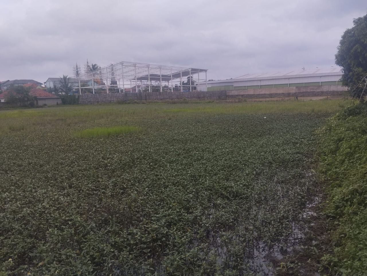 Dijual Lahan Luas Strategis di Kendal Sindang Panon Tangerang - Thumbnail 6