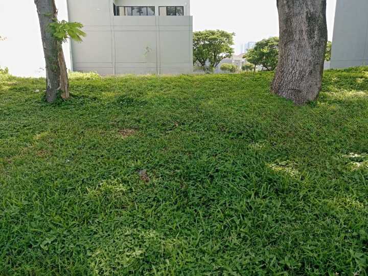 Disewakan Tanah Area Komersial Lokasi Strategis di Kawasan Premium Raya Emerald Mansion Surabaya Barat - Image 1