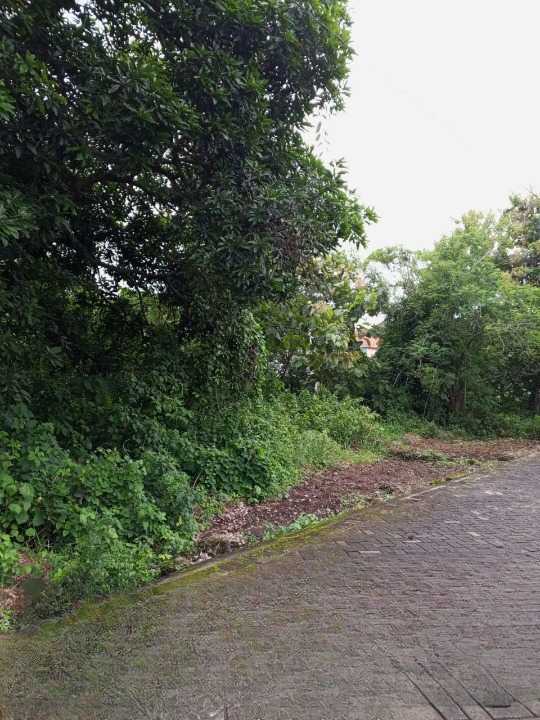 Dijual Tanah Strategis di Kampung Yaman Bungah Gresik - Thumbnail 2