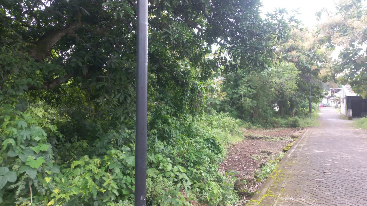 Dijual Tanah Strategis di Kampung Yaman Bungah Gresik - Thumbnail 3