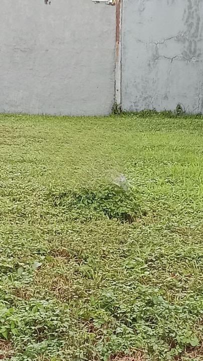 Dijual Tanah Kavling Kawasan Premium di Citraland Royal Park Surabaya Barat - Image 1