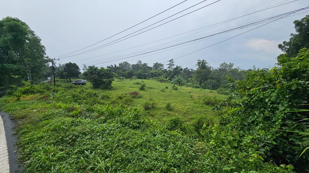 Dijual Tanah Luas Strategis di Raya Taman Safari Pasuruan - Thumbnail 4