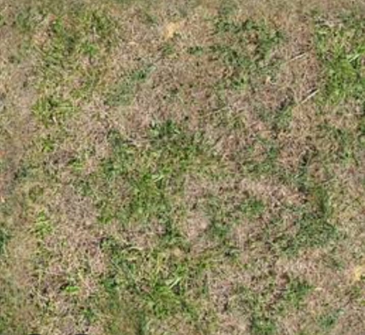 Dijual Rumah Hitung Tanah Strategis di Karang Empat Surabaya Timur - Image 1