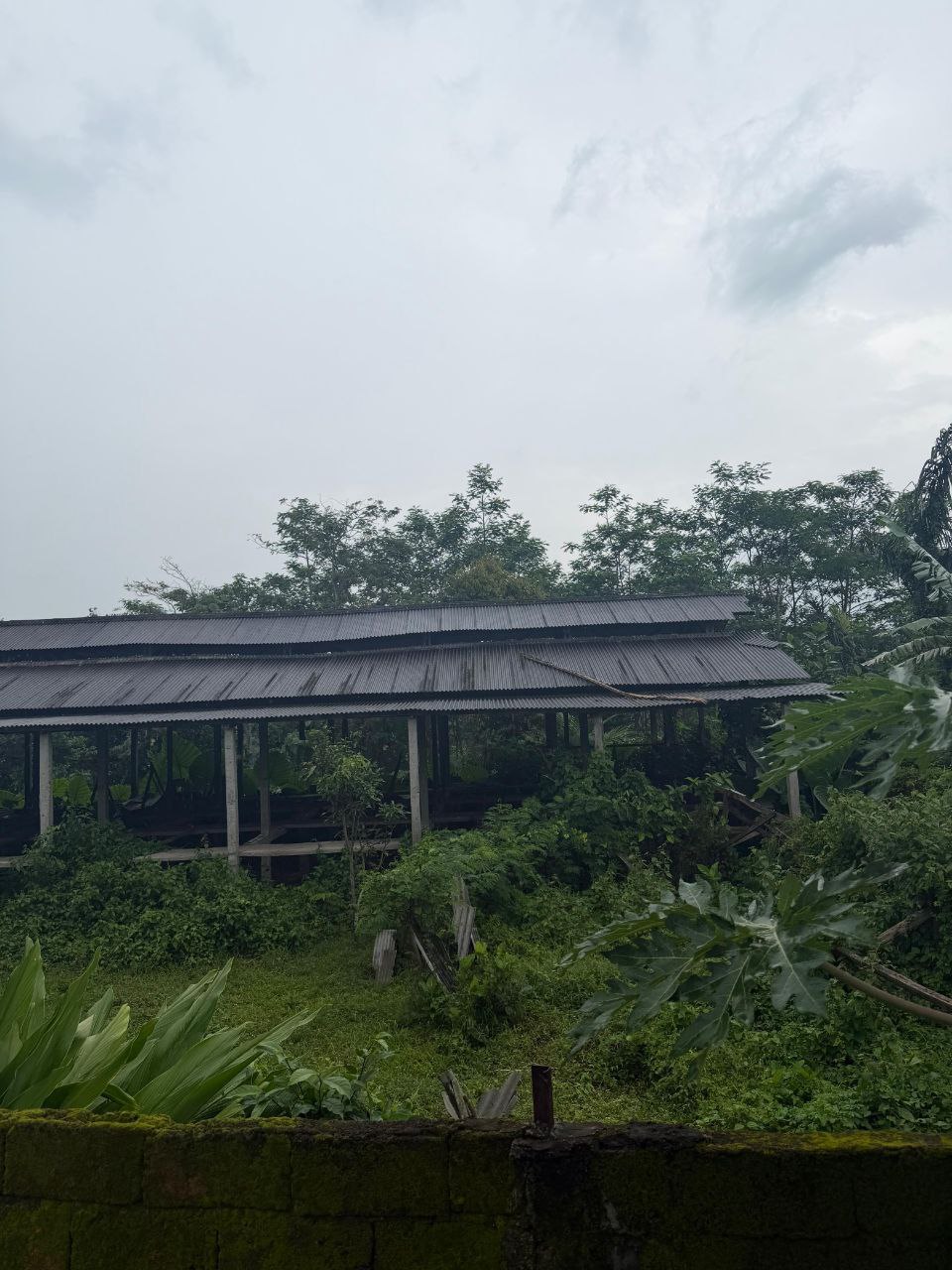 Dijual Tanah dan Kandang Permanen Luas di Kawasan Jalan Sukowiryo Jember - Thumbnail 4