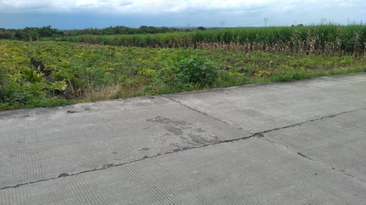 Dijual Tanah Strategis Harga Terjangkau di Dawar Blandong Mojokerto - Image 1