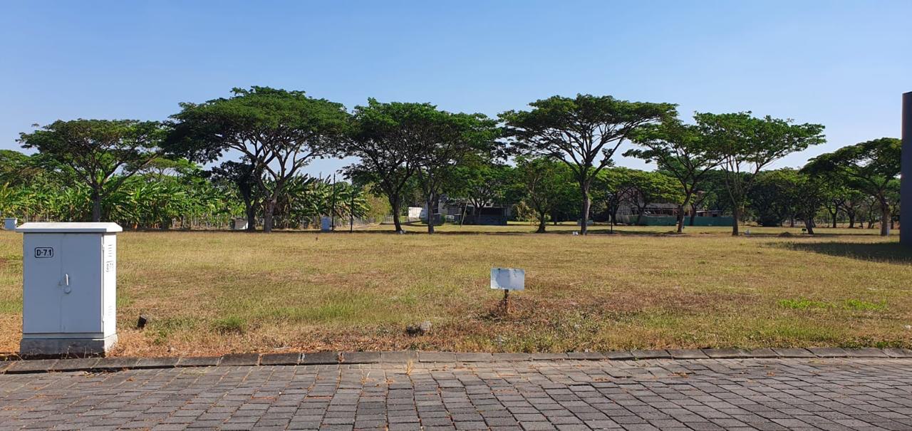 Dijual Kavling Strategis Siap Bangun di Kawasan Premium Graha Natura Citraland Surabaya Barat - Image 1