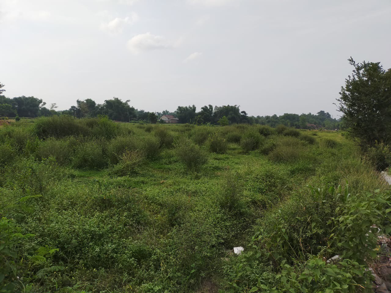 Dijual Tanah Luas Strategis di Dukuhsari Sukorejo Pasuruan - Image 1