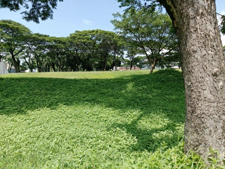 Dijual Tanah Kavling Komersial Strategis di Bukit Telaga Golf Citraland Surabaya Barat - Image 1