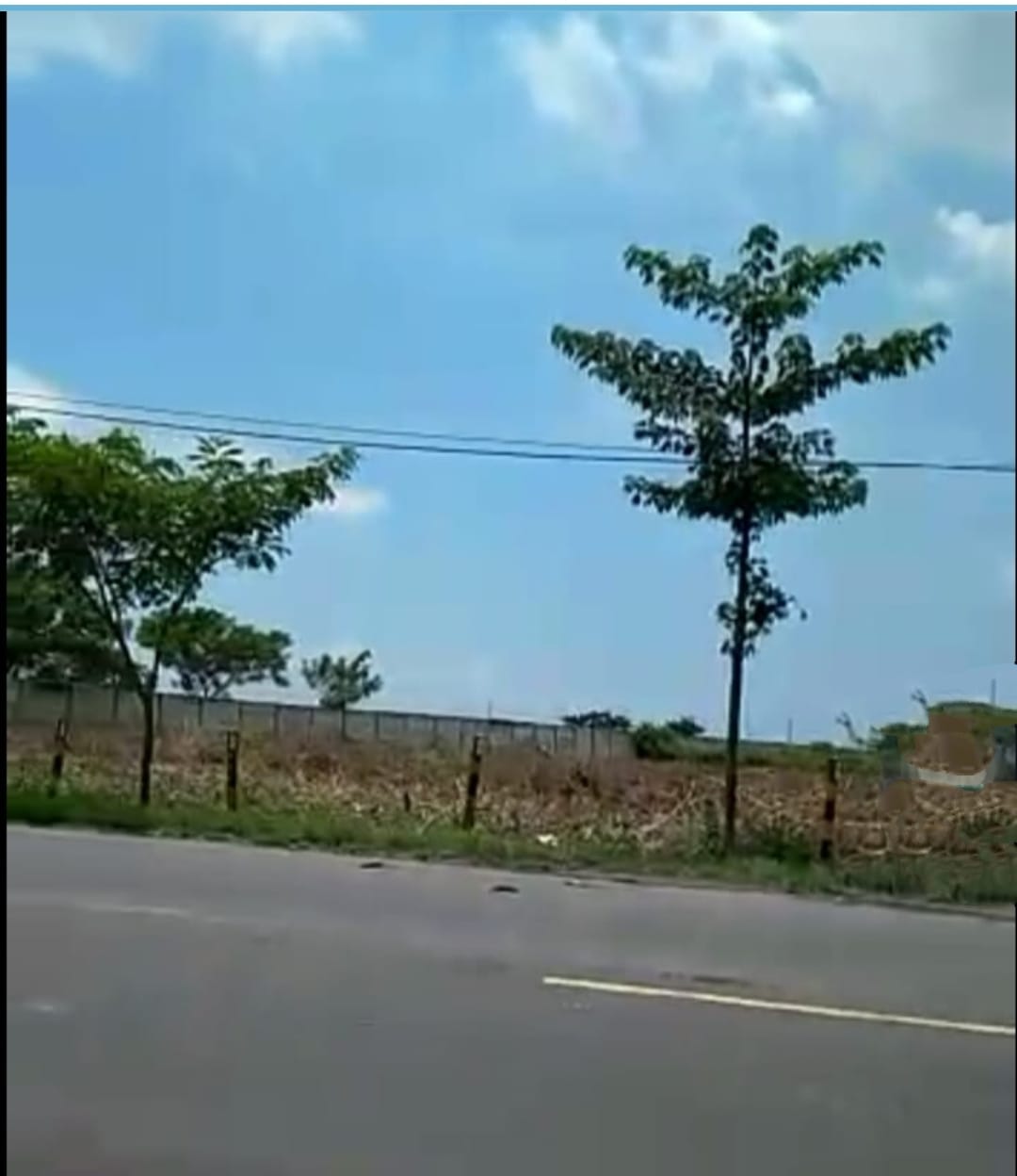Dijual Tanah Industri Luas di Widang Tuban - Image 1