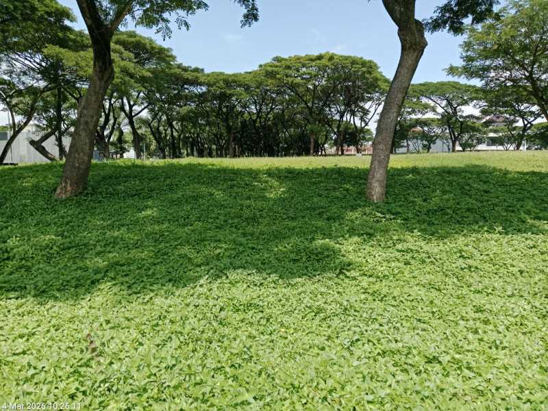Disewakan Tanah Komersial di Kawasan Premium di Telaga Utama Citraland Surabaya Barat - Image 1