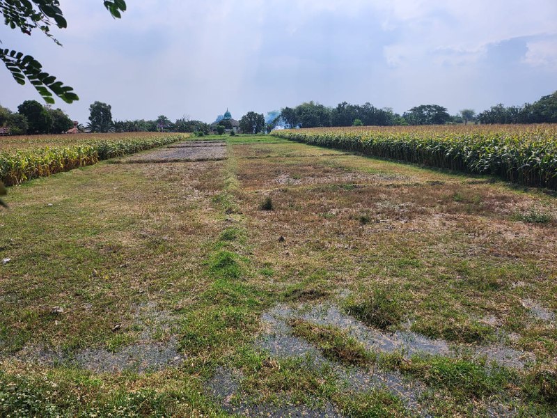 Dijual Tanah Luas Strategis di Bypass Banjar Agung Puri Mojokerto - Image 1