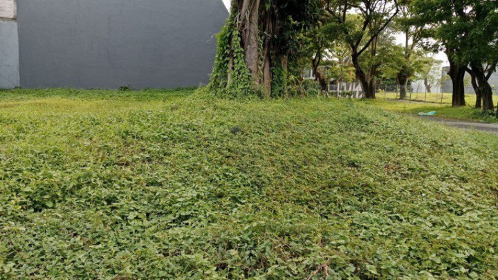 Dijual Tanah kavling Strategis di Golf Avenue Citraland Surabaya Barat - Image 1
